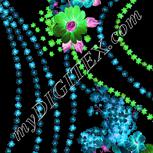 Colour:F