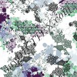 Colour:B