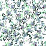 Colour:C