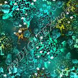 Colour:F