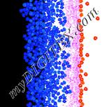 Colour:F