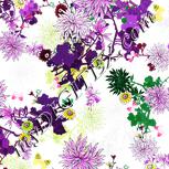 Colour:B
