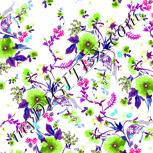 Colour:C