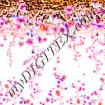 Colour:J
