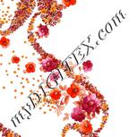 Colour:A