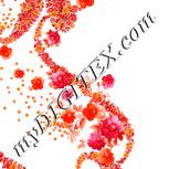 Colour:J