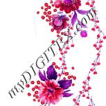 Colour:B