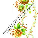 Colour:K