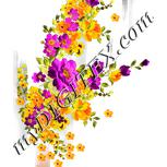 Colour:A