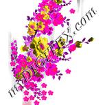 Colour:B