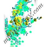 Colour:C