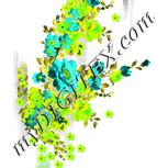 Colour:D