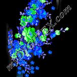 Colour:F