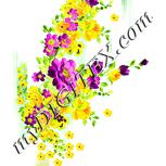 Colour:K