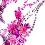 Colour:B