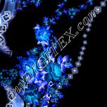 Colour:F