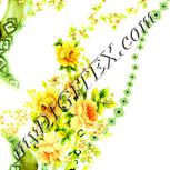 Colour:K