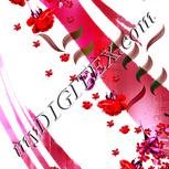Colour:B