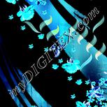 Colour:F