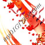 Colour:J