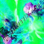Colour:B