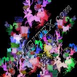 Colour:F