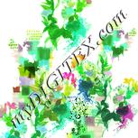 Colour:K