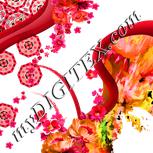 Colour:B