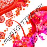 Colour:J