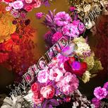 Colour:B