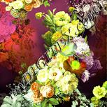 Colour:K