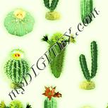 Colour:K
