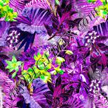 Colour:D