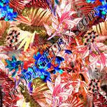 Colour:F
