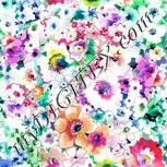 Colour:A