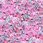 Colour:B