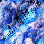 Colour:F
