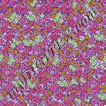 Colour:B