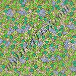 Colour:D