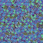 Colour:F
