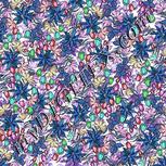 Colour:B