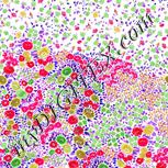 Colour:B