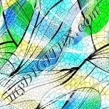 Colour:A