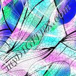 Colour:B