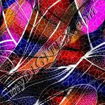Colour:F