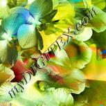 Colour:K