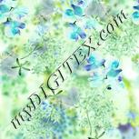Colour:K