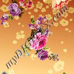 Colour:K