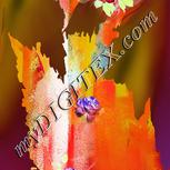Colour:F