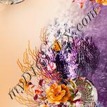 Colour:A